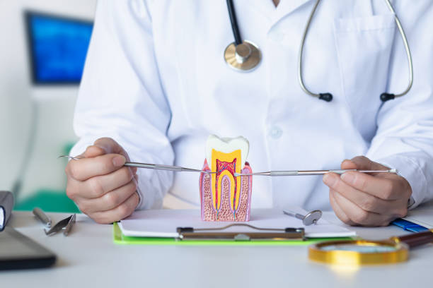 Best Urgent Tooth Repair  in George Mason, VA